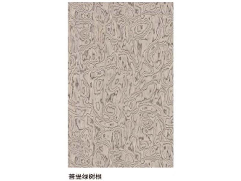 菩提綠樹根
