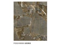 PGS249836金譽(yù)滿堂